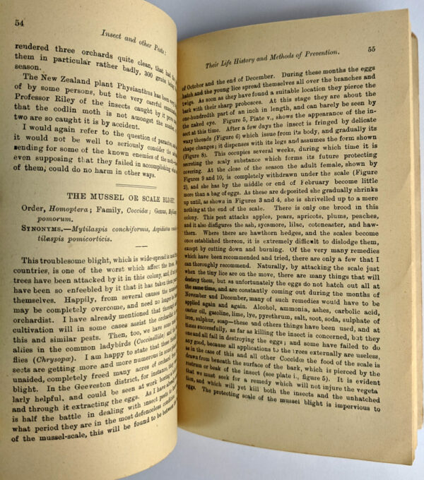 A Handbook to the Insect Pests of Farm and Orchard: Their Life History and Methods of Prevention. Part 1 - Image 5