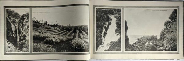 Queensland Within - Image 4