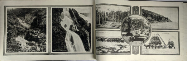 Queensland Within - Image 5