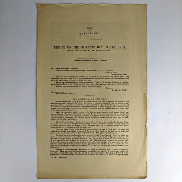 1900 Report on the Moreton Bay Oyster Beds
