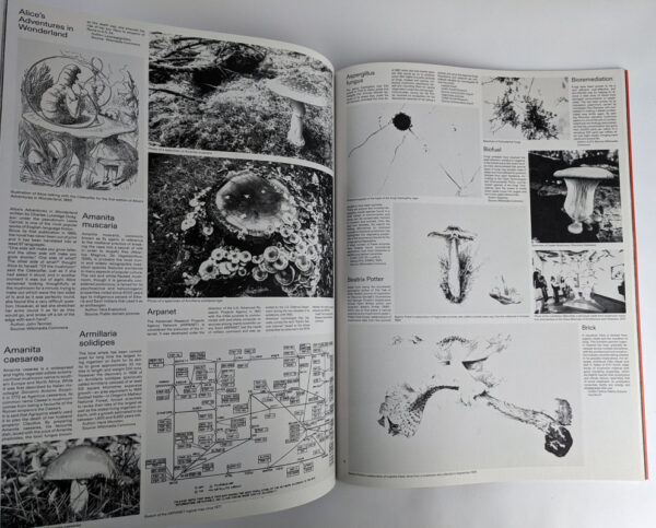 Shelter Cookbook - Image 6