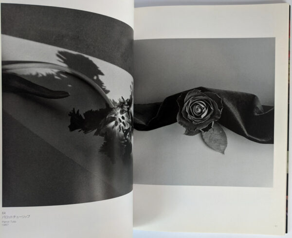 Promiscuous Flowers - Image 4