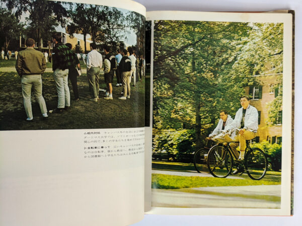 Take Ivy - Image 3