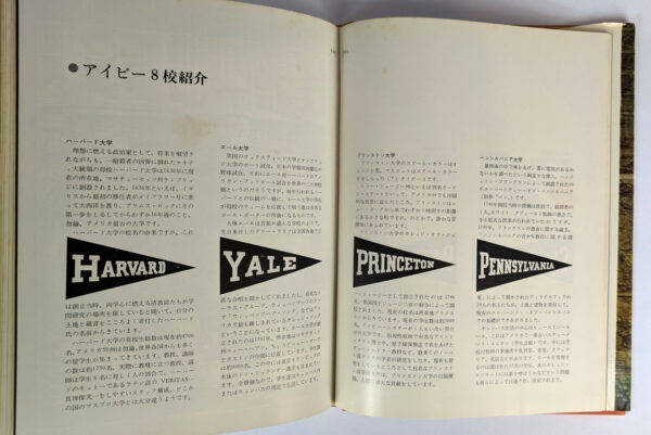 Take Ivy - Image 5