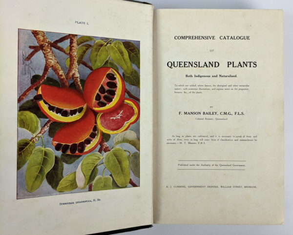 Comprehensive Catalogue of Queensland Plants: Both Indigenous and Naturalised - Image 2