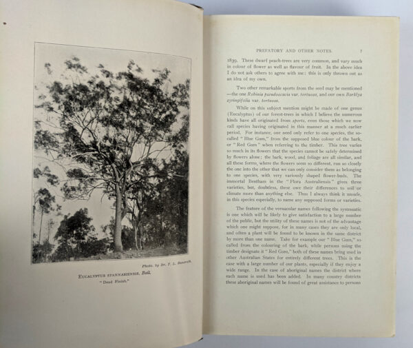 Comprehensive Catalogue of Queensland Plants: Both Indigenous and Naturalised - Image 3