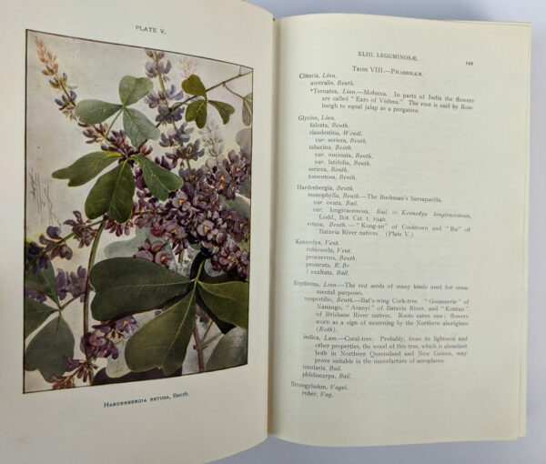 Comprehensive Catalogue of Queensland Plants: Both Indigenous and Naturalised - Image 4