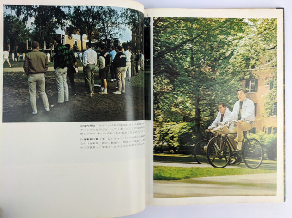 Take Ivy - Image 3