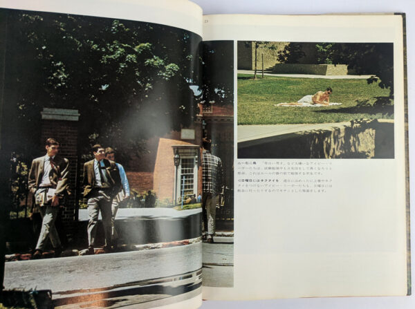 Take Ivy - Image 4