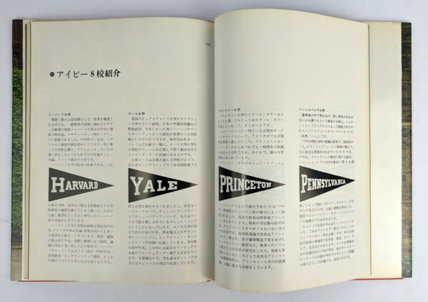 Take Ivy - Image 8