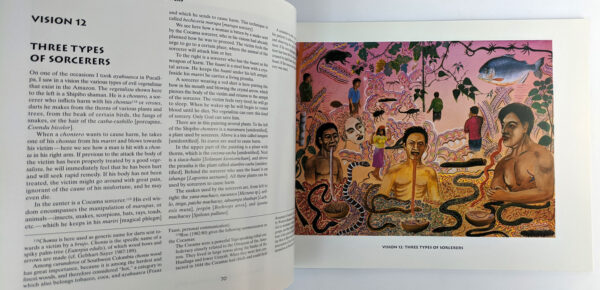 Ayahuasca Visions: The Religious Iconography of a Peruvian Shaman - Image 2