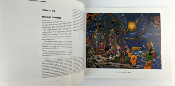 Ayahuasca Visions: The Religious Iconography of a Peruvian Shaman - Image 3