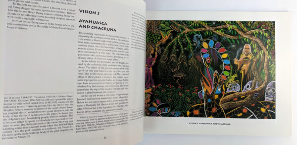Ayahuasca Visions: The Religious Iconography of a Peruvian Shaman - Image 4