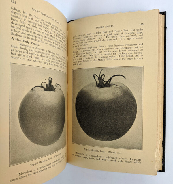 What America Can Teach Us! Official Report of Mr. W. Ranger - Image 4