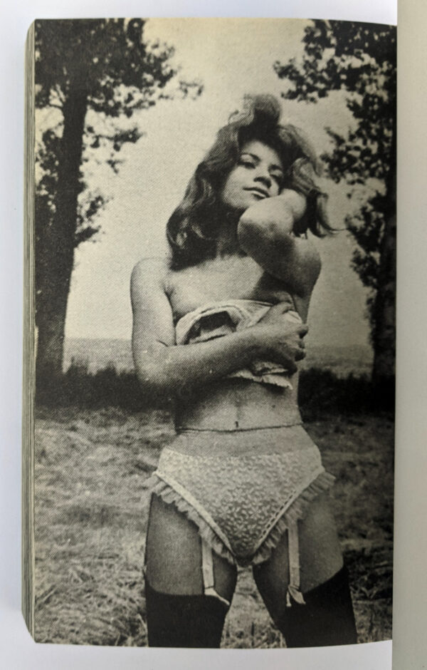 Strip-Tease - Image 3