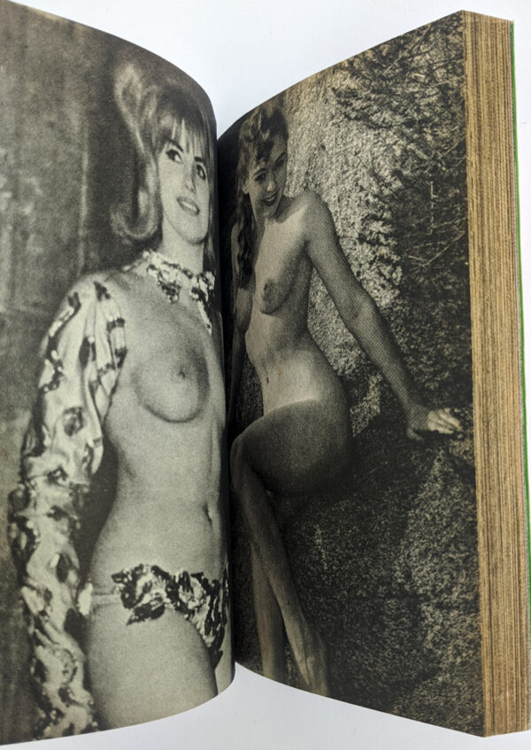 The Nude: Paradise of Pin-Up Girls - Image 2