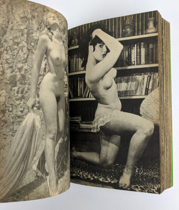 The Nude: Paradise of Pin-Up Girls - Image 5