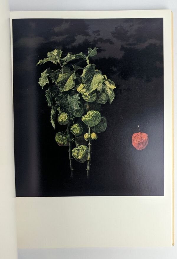 Hiroshi Noda, 1970-1985 - Image 8