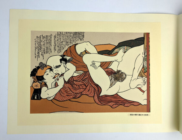 Ukiyoe Masterpiece Selection - Image 5