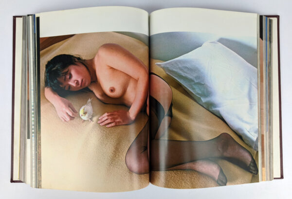 Nus Japonais Vol. 2 - Image 6