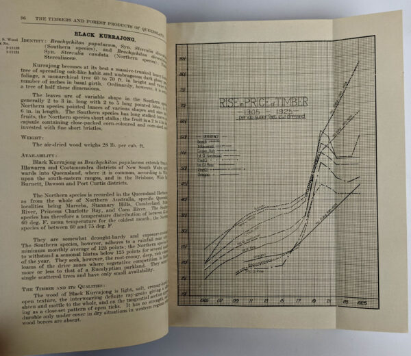 The Timbers and Forest Products of Queensland - Image 4