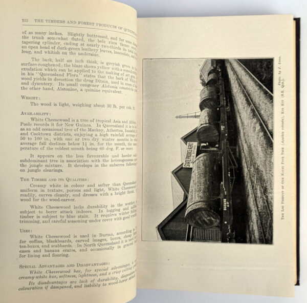 The Timbers and Forest Products of Queensland - Image 5