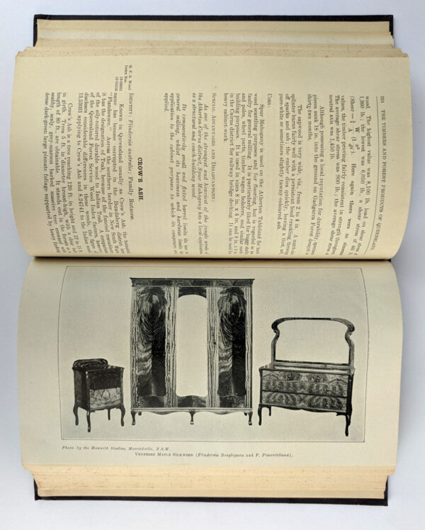 The Timbers and Forest Products of Queensland - Image 6