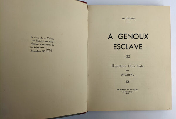 A Genoux Esclave - Image 3
