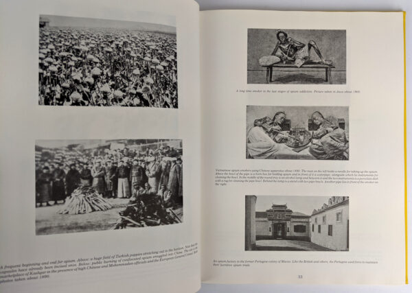 The Fabulous Illustrated History of Psychoactive Plants or Great Grandma's Pleasures - Image 5