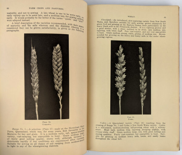 The Queensland Agricultural and Pastoral Handbook (4 Volumes) - Image 4