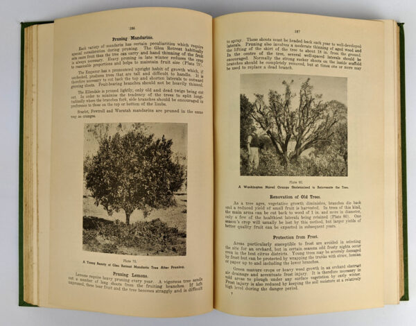 The Queensland Agricultural and Pastoral Handbook (4 Volumes) - Image 5