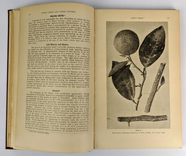 The Queensland Agricultural and Pastoral Handbook (4 Volumes) - Image 6