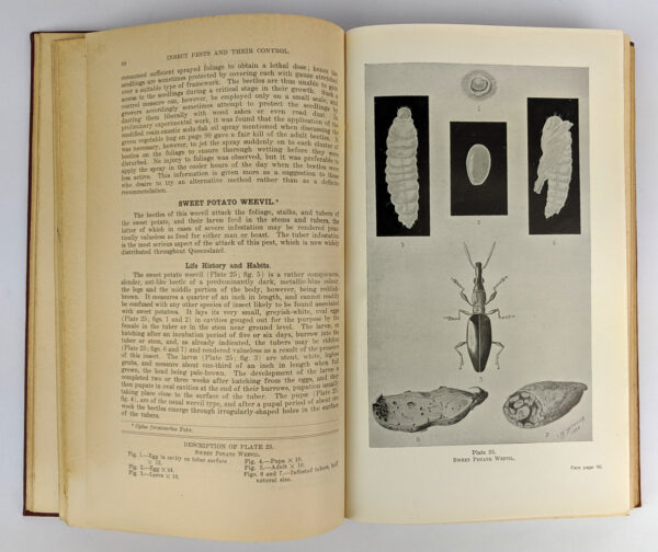 The Queensland Agricultural and Pastoral Handbook (4 Volumes) - Image 7