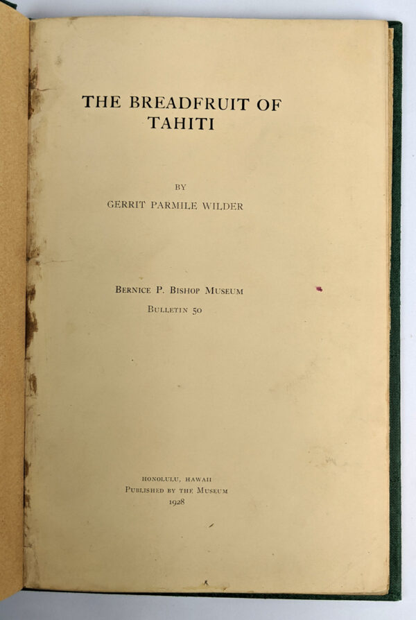The Breadfruit of Tahiti - Image 2