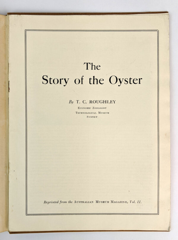 Oyster Culture on the George's River, New South Wales - Image 5