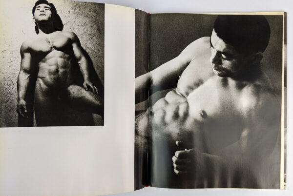Otoko: Photo-Studies of the Young Japanese Male - Image 5