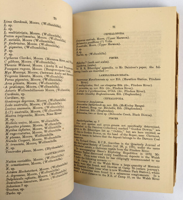 Handbook of Queensland Geology - Image 3