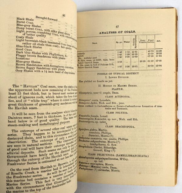 Handbook of Queensland Geology - Image 4