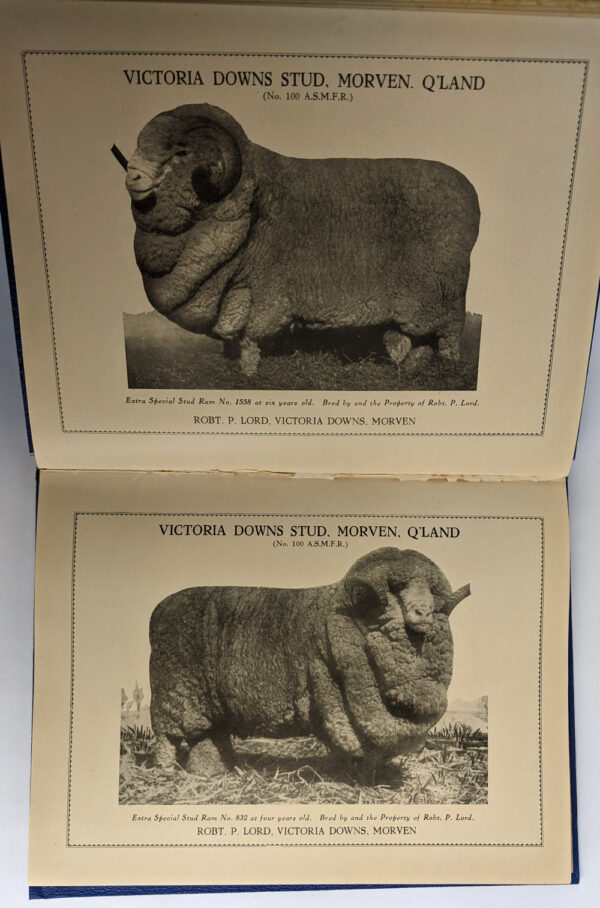 The Queensland Merino Stud Sheepbreeders' Association Foundation Souvenir Book 1935 - Image 4