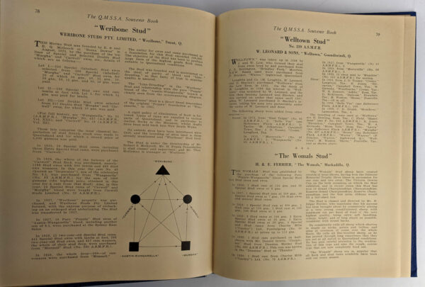 The Queensland Merino Stud Sheepbreeders' Association Foundation Souvenir Book 1935 - Image 5