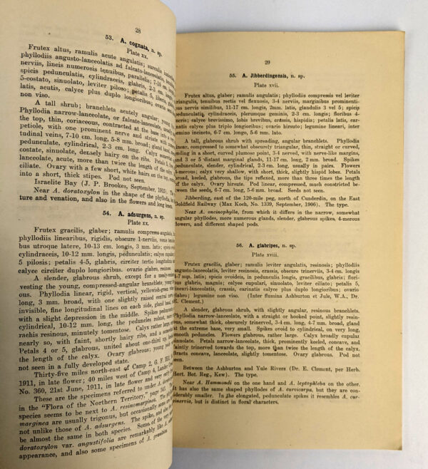 Description of Fifty New Species and Six Varieties of Western and Northern Australian Acacias and Notes on Four Other Species - Image 5