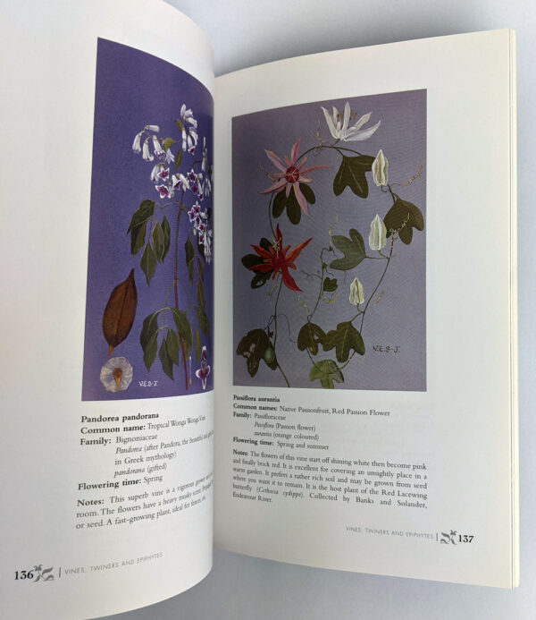 National Treasures: Flowering Plants of Cooktown and Northern Australia - Image 2