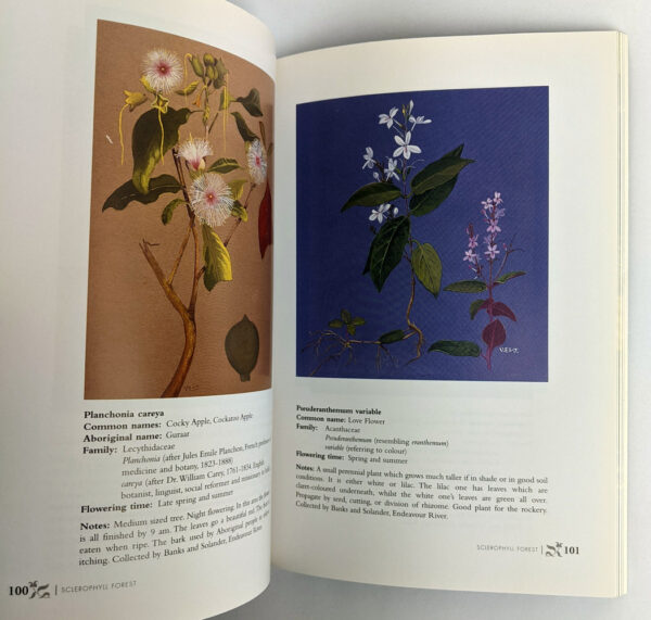 National Treasures: Flowering Plants of Cooktown and Northern Australia - Image 3