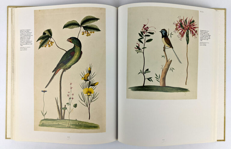 First Fleet Artist: George Raper’s Birds & Plants of Australia - The ...