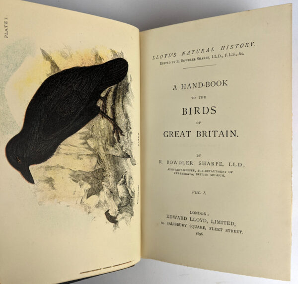 Lloyd's Natural History: Birds of Great Britain, British Mammalia, Carnivora, Game Birds, Lepidoptera, Marupialia and Monotremata (16 Volumes) - Image 2