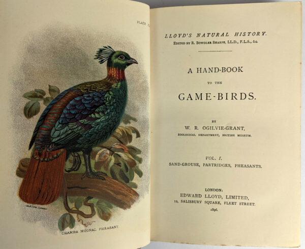 Lloyd's Natural History: Birds of Great Britain, British Mammalia, Carnivora, Game Birds, Lepidoptera, Marupialia and Monotremata (16 Volumes) - Image 3