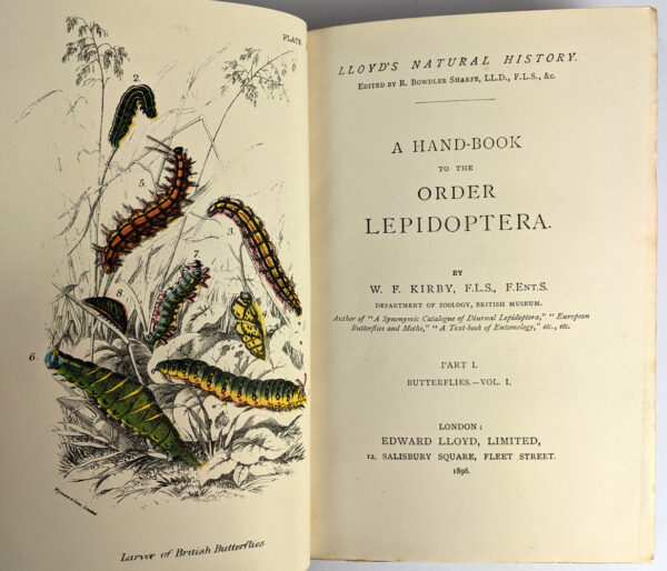 Lloyd's Natural History: Birds of Great Britain, British Mammalia, Carnivora, Game Birds, Lepidoptera, Marupialia and Monotremata (16 Volumes) - Image 4