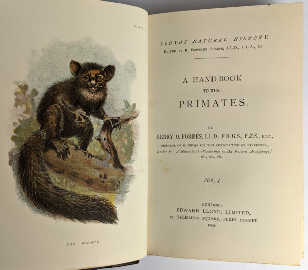 Lloyd's Natural History: Birds of Great Britain, British Mammalia, Carnivora, Game Birds, Lepidoptera, Marupialia and Monotremata (16 Volumes) - Image 6