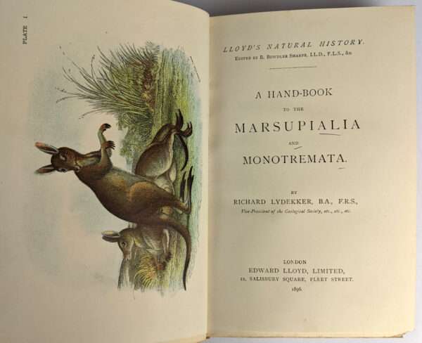 Lloyd's Natural History: Birds of Great Britain, British Mammalia, Carnivora, Game Birds, Lepidoptera, Marupialia and Monotremata (16 Volumes) - Image 7