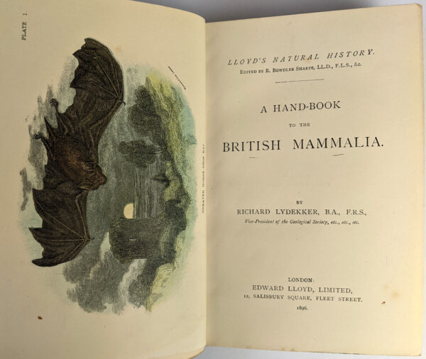 Lloyd's Natural History: Birds of Great Britain, British Mammalia, Carnivora, Game Birds, Lepidoptera, Marupialia and Monotremata (16 Volumes) - Image 8